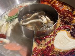 -谭鸭血老火锅(娄星区长青街店)