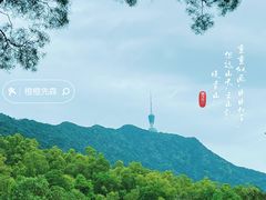 -深圳仙湖植物园