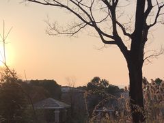 -深业半汤御泉庄温泉