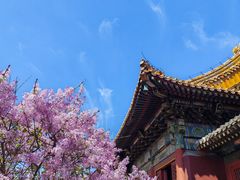 -花家怡园(四合院总店)