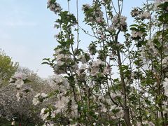 -元大都城垣遗址公园