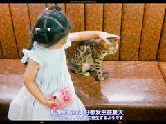 -猫小院猫主题餐厅(三里屯店)