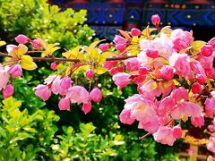 -北海公园
