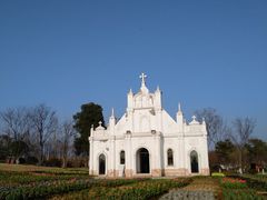 -杭州湾海上花田景区