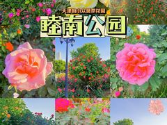 -睦南公园