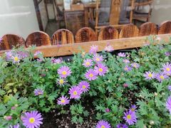 -小茶闲舍·观景商务茶馆(广州塔店)