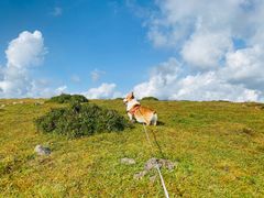 -芦芽山旅游度假区