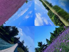 -羊亭河湿地公园