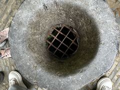 -上海佘山国家森林公园天马山园