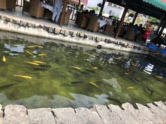 -京北渔家傲