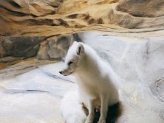 -香港海洋公园