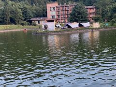 -武陵山森林公园