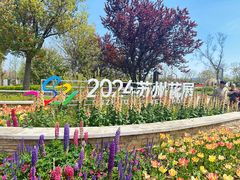 -苏州上方山国家森林公园