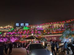 -枇杷园食为鲜火锅(南山店)