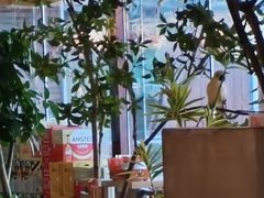 -奉天宴遇烧烤·冒锅