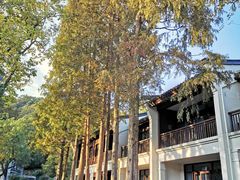 -杭州雅谷泉山庄酒店-餐厅