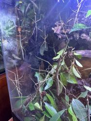 -酷嗒动物文化乐园(cutezoo西溪乐天城店)