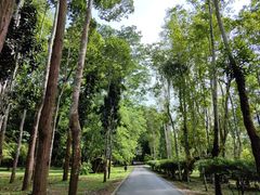 -中国科学院西双版纳热带植物园