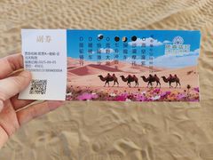 -银肯塔拉沙漠生态旅游景区