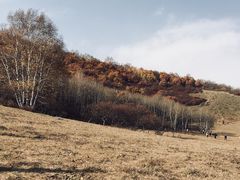 -塞罕坝国家级自然保护区