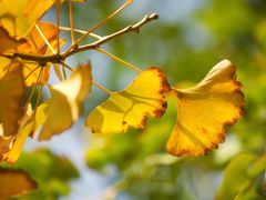 -共青国家森林公园-售票处