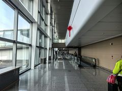 -青岛胶东国际机场