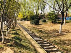 -永定河休闲森林公园