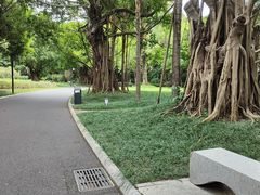 -南宁南湖公园