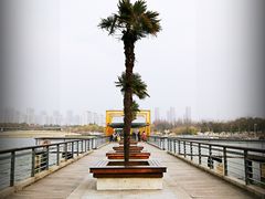 -白塘生态植物园