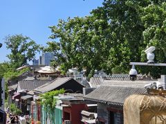 -Sirena海妖日咖夜酒