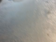 -陈生记黑鱼馆·20年活鱼现杀(宁波鼓楼店)