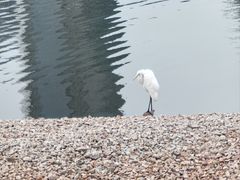 -深圳人才公园