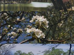 -颐和园