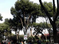 -昆山城市生态森林公园