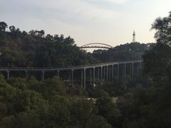 -金鸡山公园