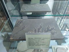 -房山世界地质公园博物馆