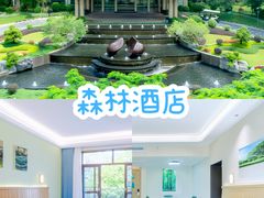 -佛冈森波拉度假区