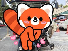 -广州都市观光巴士(粤陶巴)