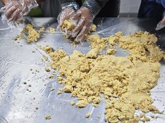 -都江堰中华大熊猫苑