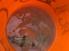 -北海金海湾红树林生态旅游区