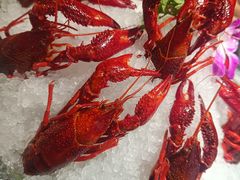 -京悦南门涮羊肉·羊蝎子火锅(田林路店)