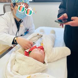 -上海交通大学医学院附属上海儿童医学中心(陆家嘴总院区)