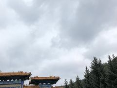 -塞罕坝国家级自然保护区