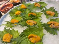 鲜活海胆-王鼎精致料理铁板烧(世博源店)