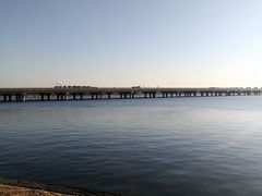 -丁香湖公园