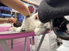 -FAELING PETS美天灵宠物(富力广场店)