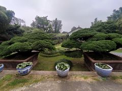 -水绘园