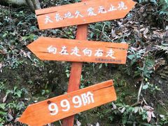 -龙湾潭国家森林公园