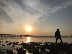 -宝安西湾红树林湿地公园