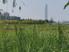 -水西公园